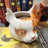 Taza Brightheart