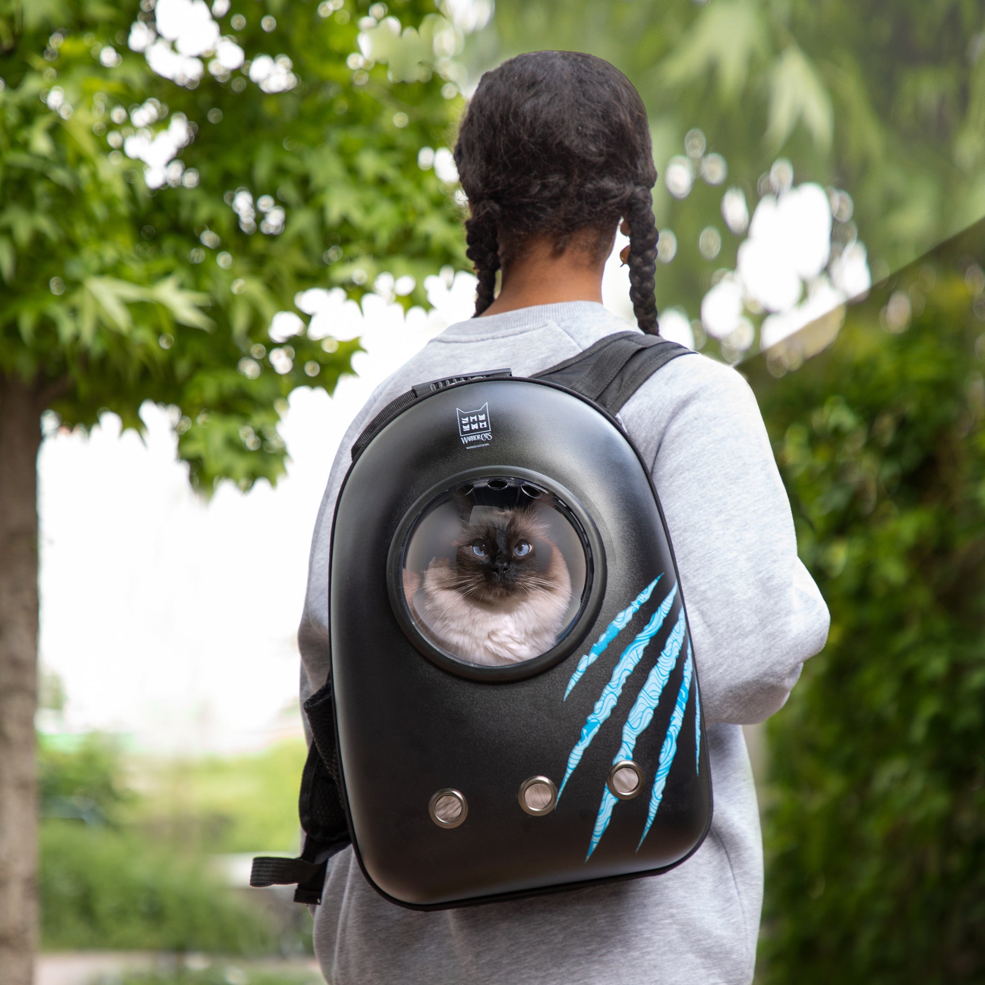 Warrior Cats Scratch Cat Backpack