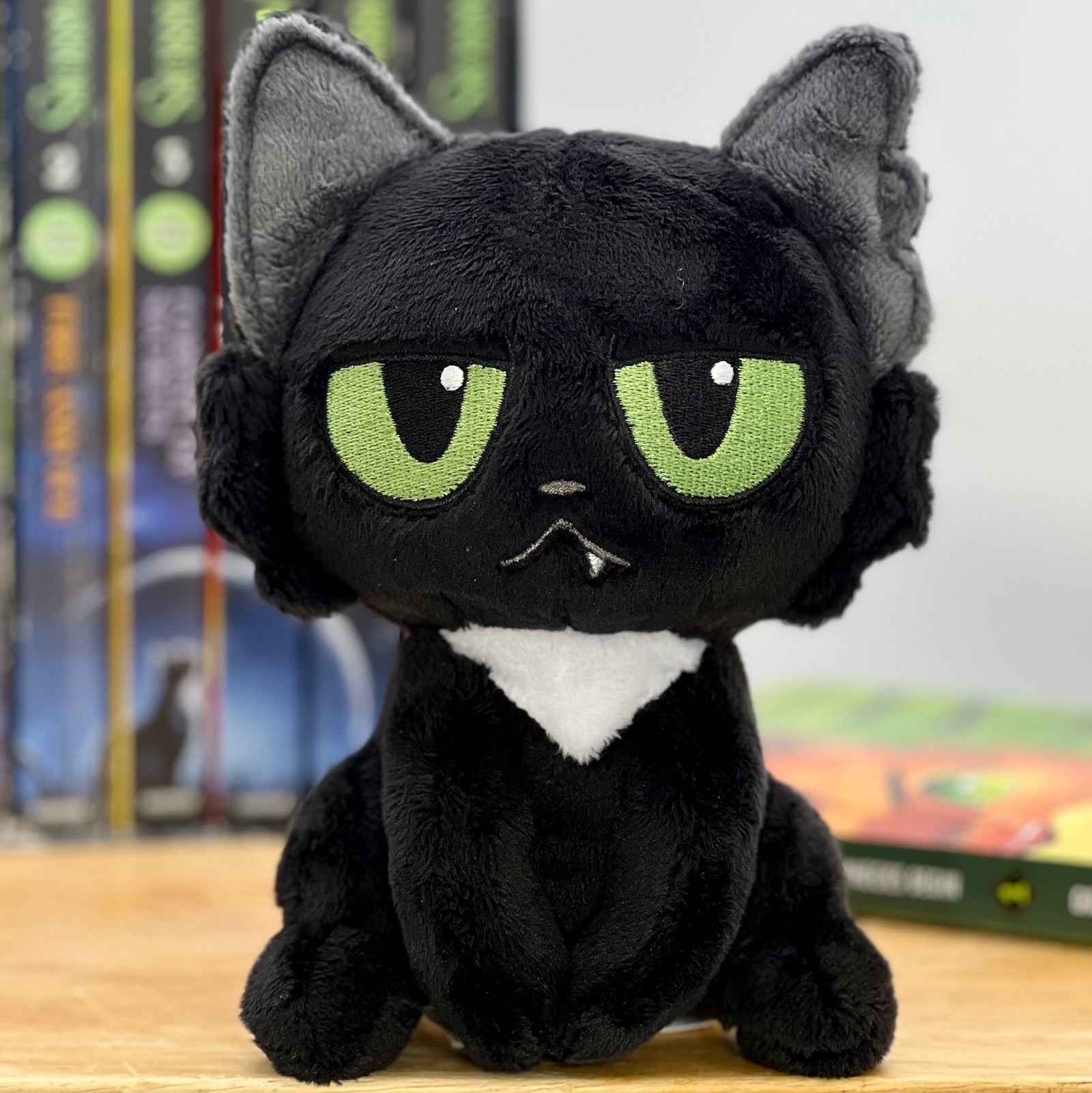 Ravenpaw 6" Mini Plush Cat