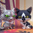Violetshine y Needletail - Mini figuras de colección (Serie 8)