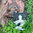 Berryheart y Splashtail - Minifiguras coleccionables (Serie 7)