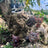 Lot de 3 - Mini figurines de collection (Série 7)