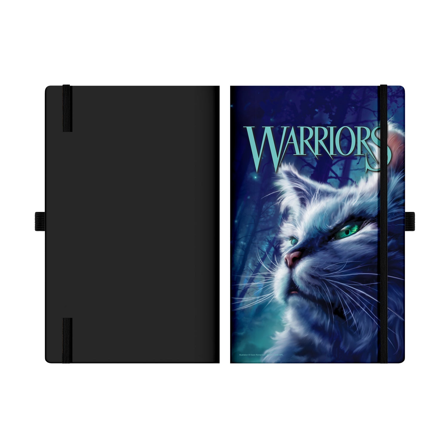 Warriors A Dangerous Path Book