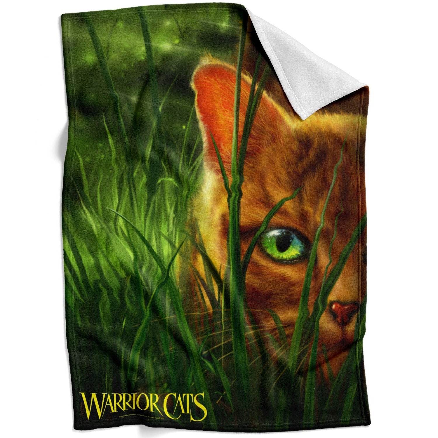Couverture Into the Wild