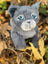 Peluche grande de gato Bluestar