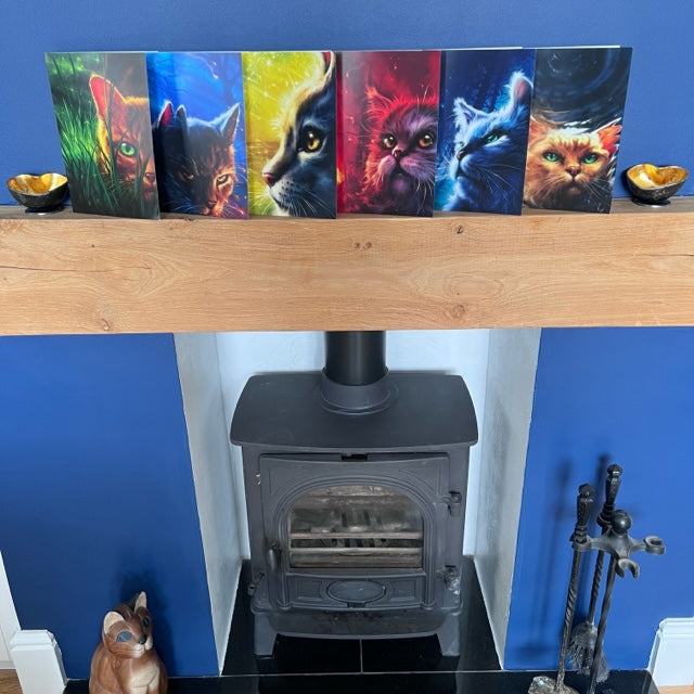 Set de cartas de la serie 1 de Los gatos guerreros