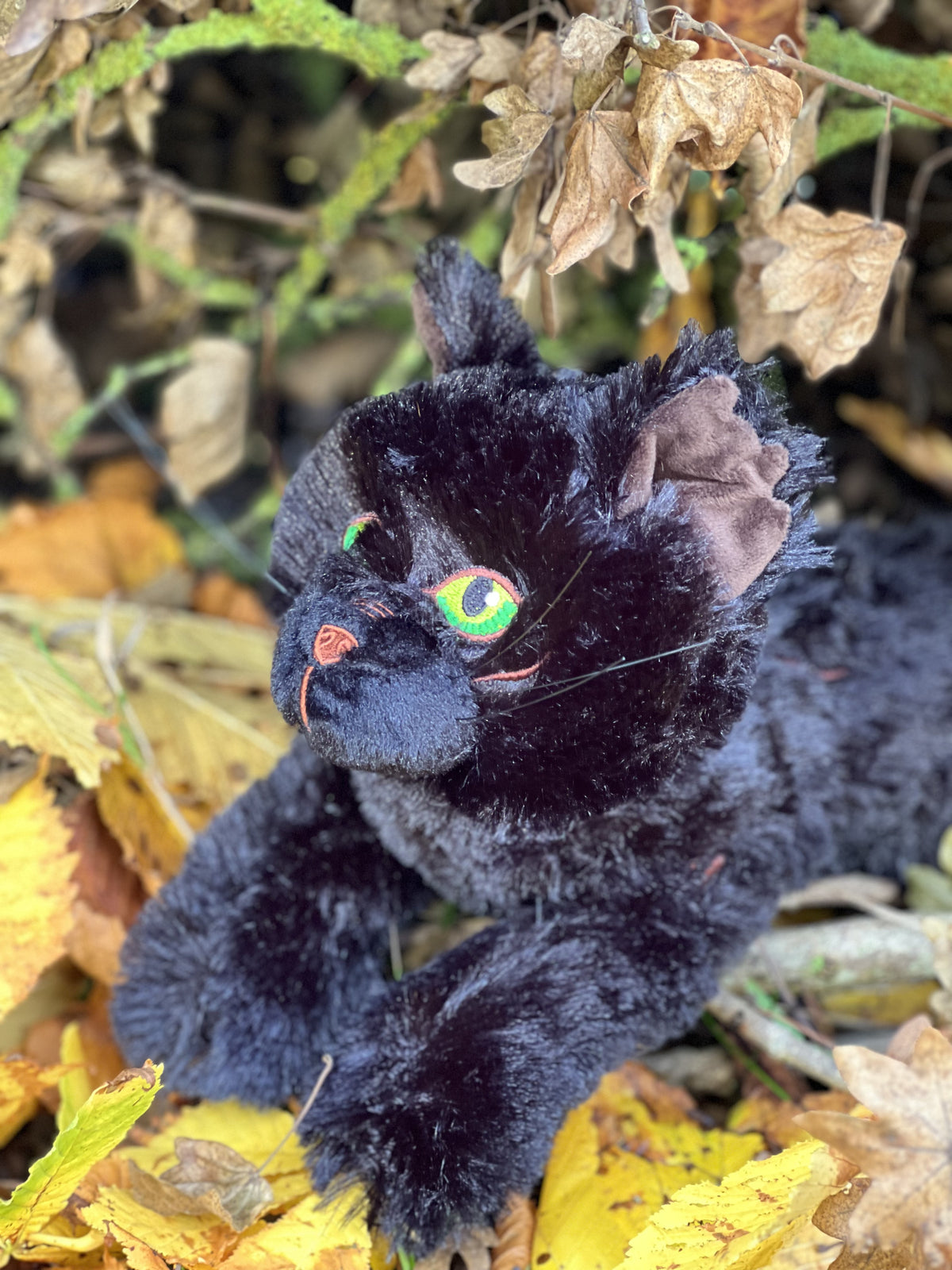 Peluche grande de gato Hollyleaf