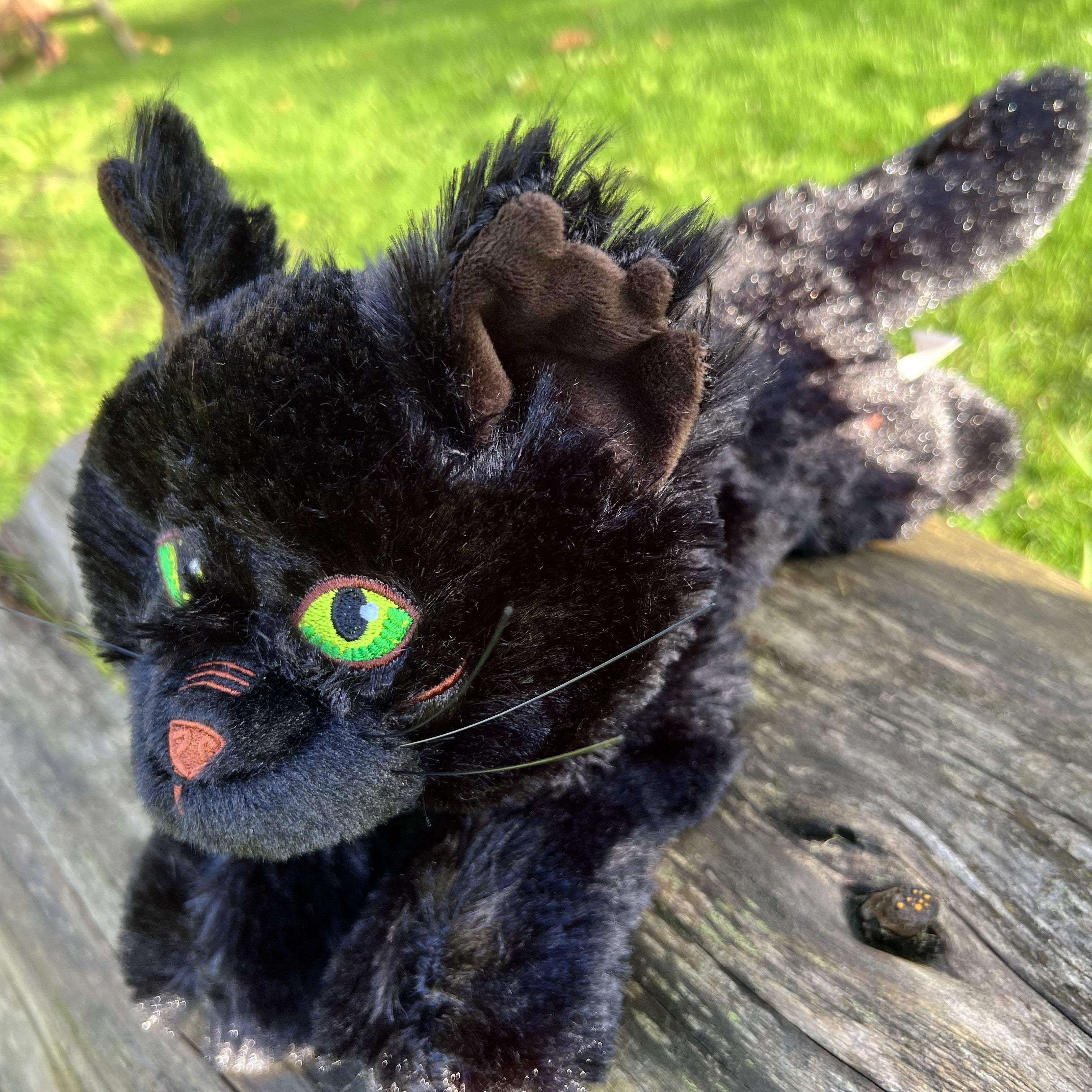 Peluche grande de gato Hollyleaf