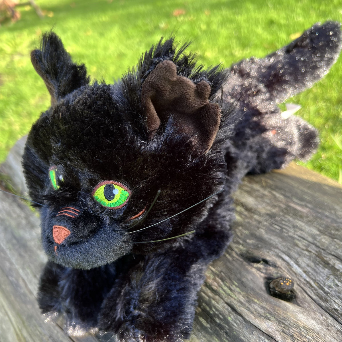 Peluche grande de gato Hollyleaf
