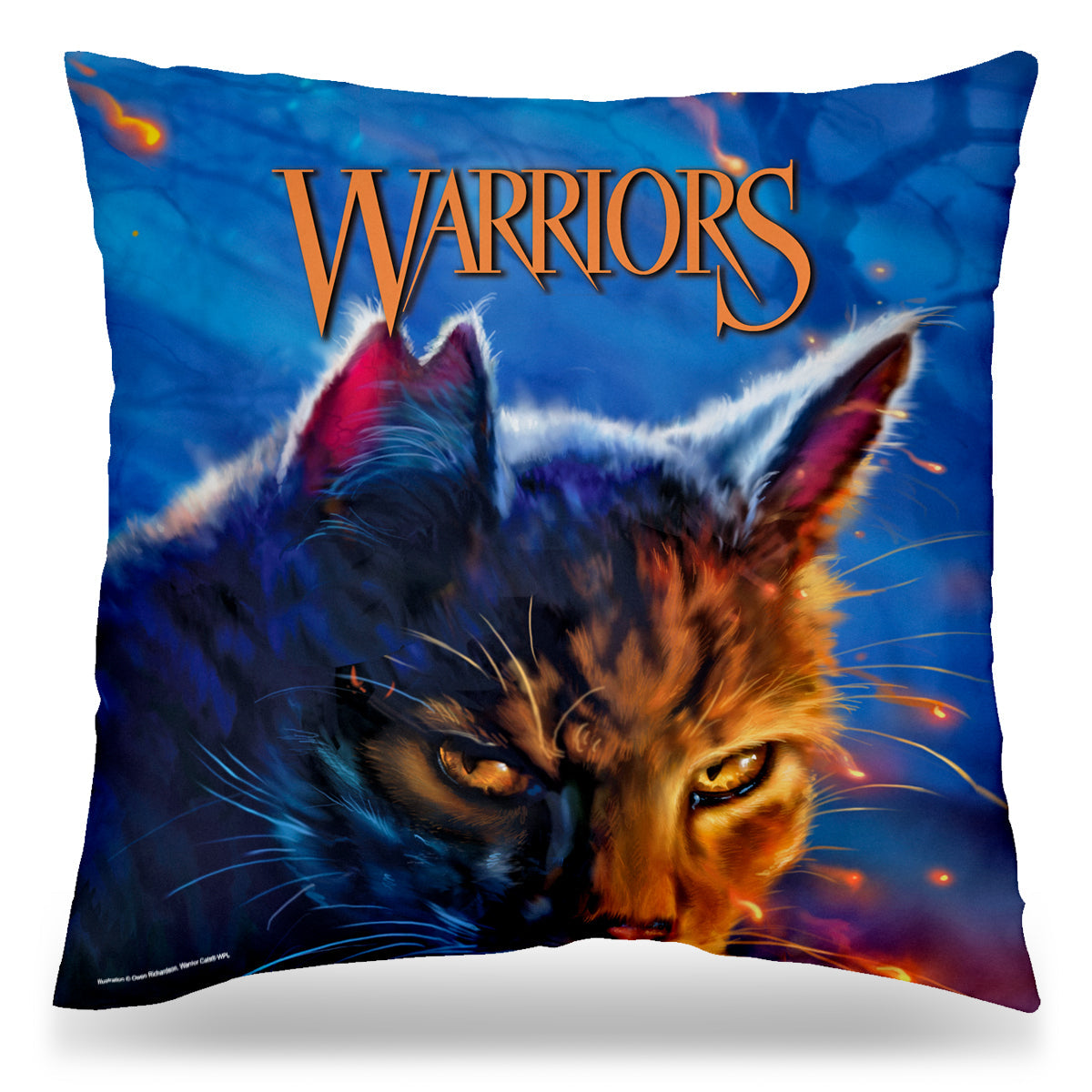 Fire and Ice - 18x18 Cushion