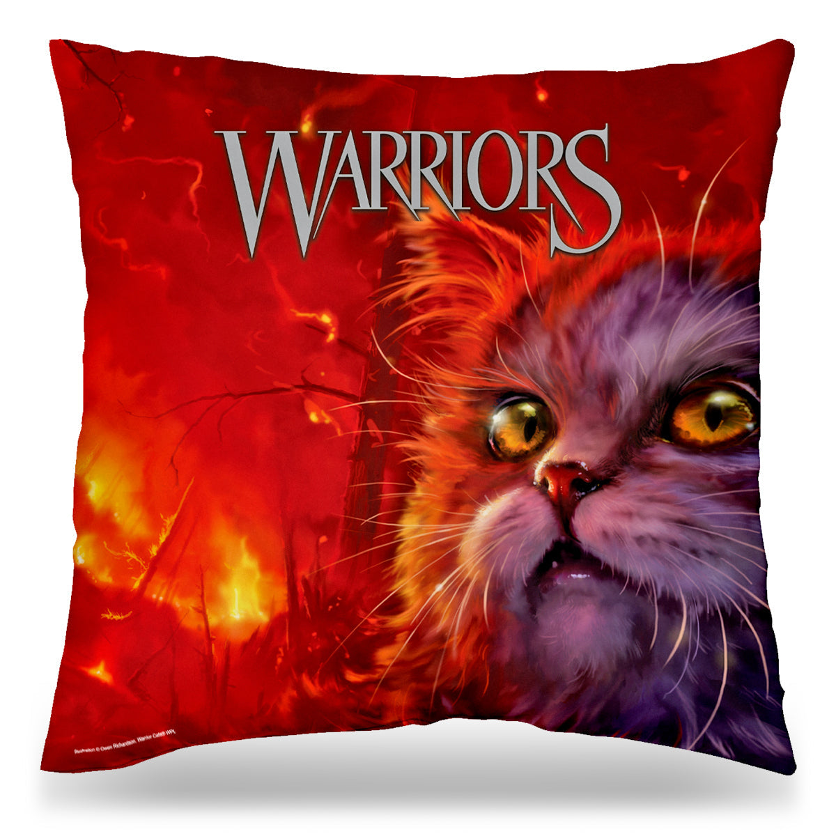 Rising Storm - Coussin 45x45 cm