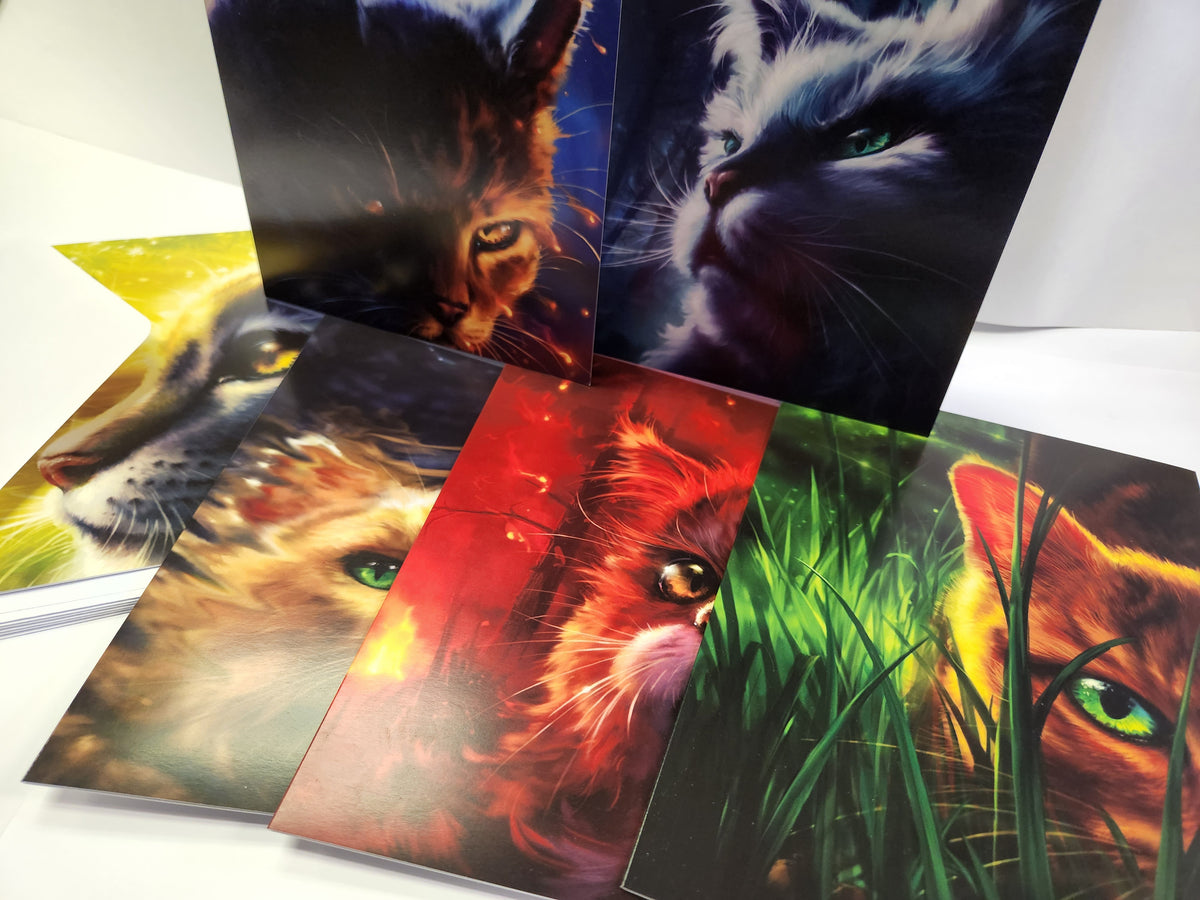 Set de cartas de la serie 1 de Los gatos guerreros