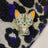 Jayfeather - Pin esmaltado
